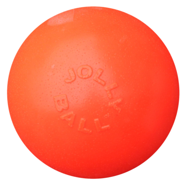Balle rebondissante pour chien Vanille, 10 cm – Jolly Pets Bounce-n Play