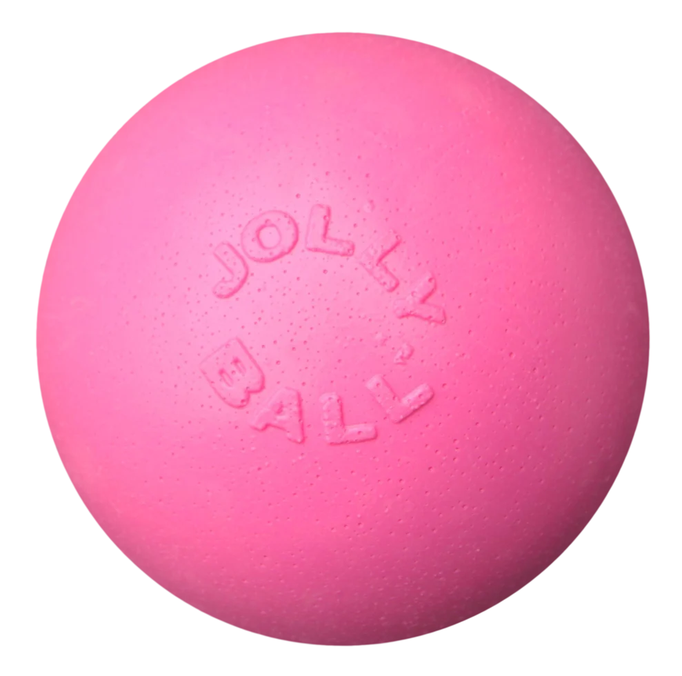 Balle flottante pour chien, 10 cm – Jolly Pets Jolly Bounce-n Play Kauwgum S – Image 1