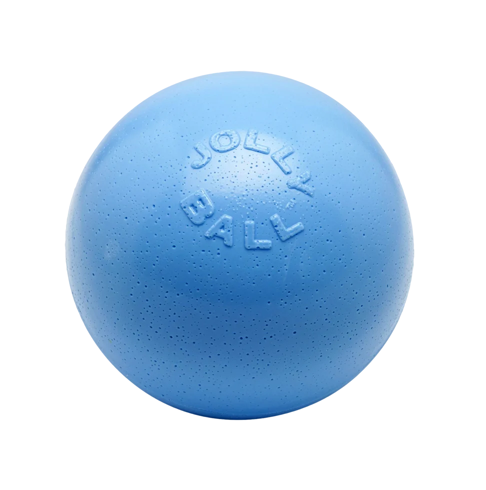 Balle rebondissante pour chien, flottante, myrtille M, 15 cm – Jolly Pets Bounce-n-Play – Image 1