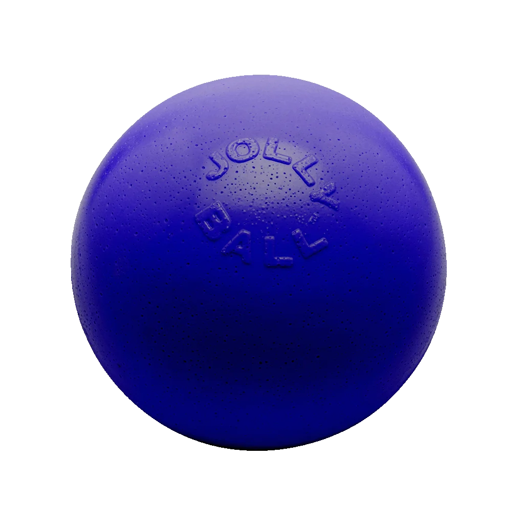 Balle rebondissante pour chien, flottante, bleue, M, 15 cm – Jolly Pets Bounce-n Play – Image 1