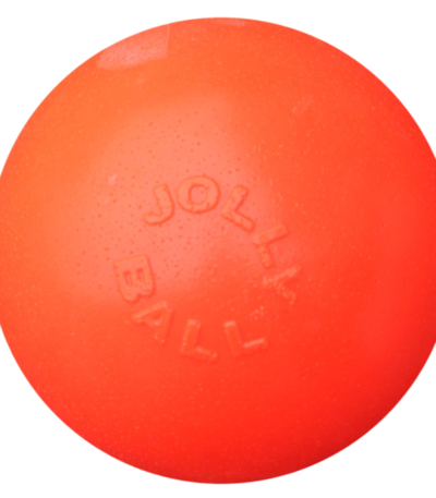 Balle rebondissante pour chien Vanille, 15 cm – Jolly Pets Bounce-n Play