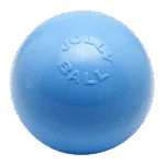 Balle rebondissante pour chien, flottante, myrtille L, 20 cm – Jolly Pets Bounce-n-Play