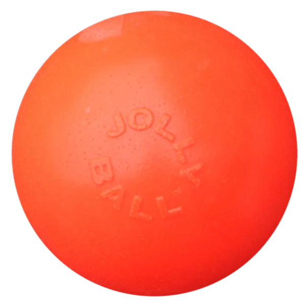 Balle rebondissante flottante pour chien, Vanille L, 20 cm – Jolly Pets Bounce-n Play