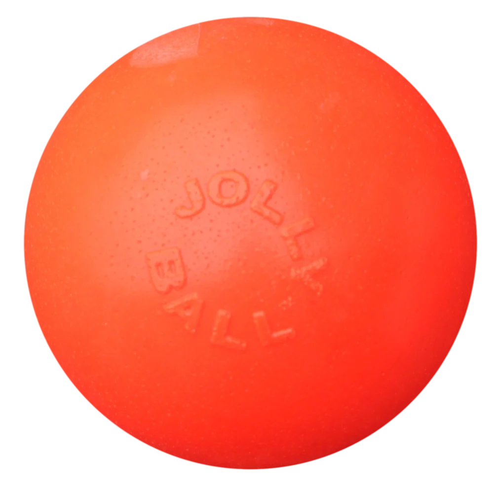 Balle rebondissante flottante pour chien, Vanille L, 20 cm – Jolly Pets Bounce-n Play – Image 1