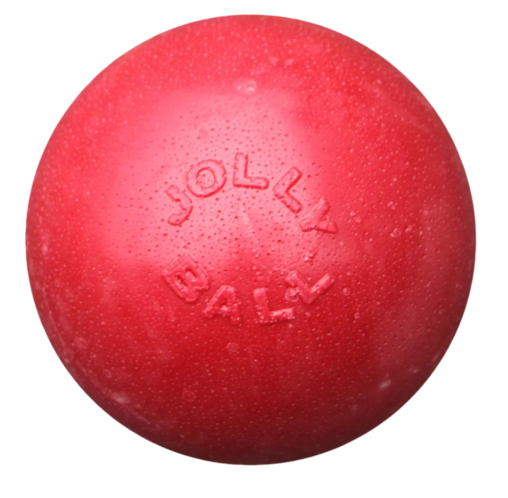 Balle rebondissante pour chien, flottante, rouge L, 20 cm – Jolly Pets Bounce-n Play – Image 1