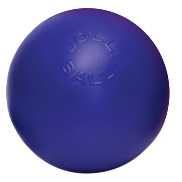 Balle pour chien bleue à surface lisse, 15 cm – Jolly Pets Push-n-Play