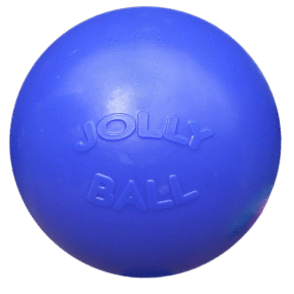 Balle pour chien à surface lisse, bleue, 35 cm – Jolly Pets Push-n-Play