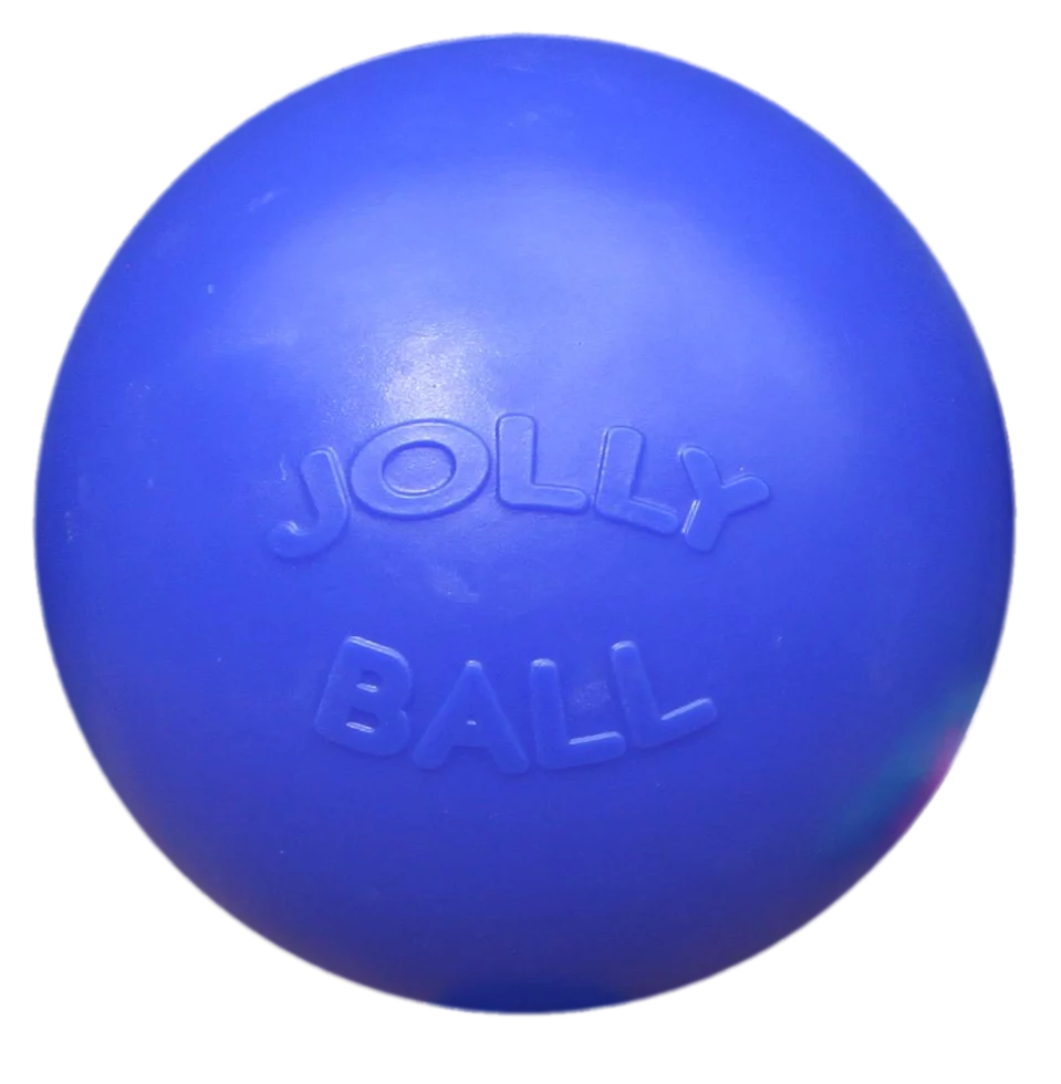 JOLL071.png Balle pour chien à surface lisse, bleue, 35 cm – Jolly Pets Push-n-Play – Image 1