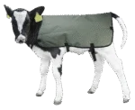 Couverture pour veau imperméable et respirante, 70 cm – Hofman Animal Care Calf Coat – Image 2