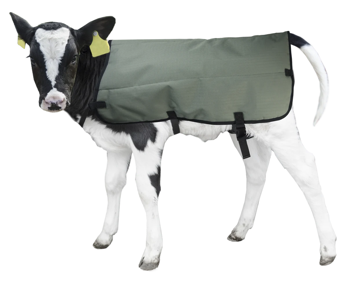 Couverture pour veau imperméable et respirante, 70 cm – Hofman Animal Care Calf Coat – Image 2