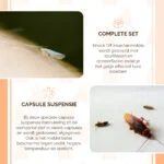 Insecticide contre les insectes rampants, pour 5 l de solution à pulvériser, avec pulvérisateur – Knock Pest – Image 4