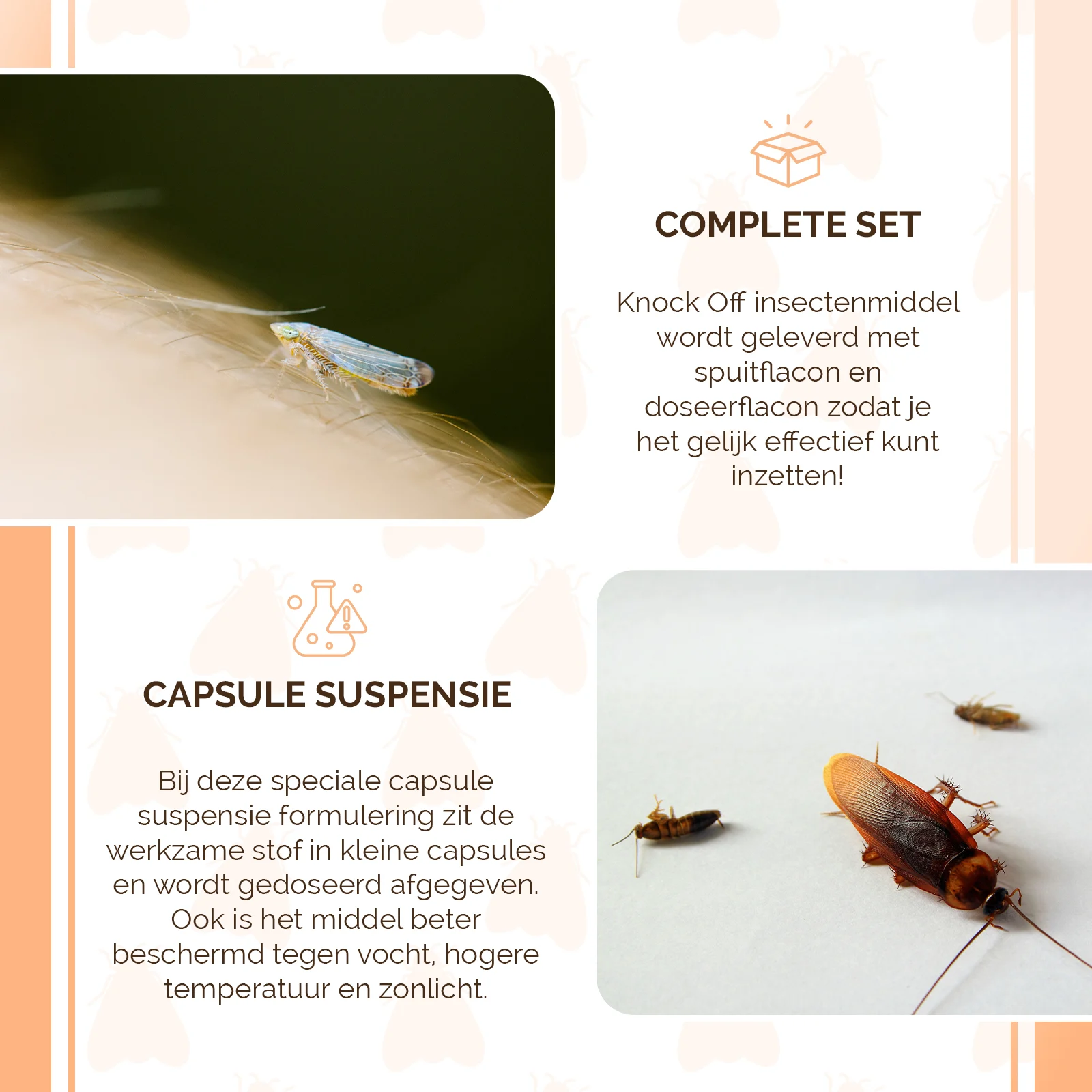 Insecticide contre les insectes rampants, pour 5 l de solution à pulvériser, avec pulvérisateur – Knock Pest – Image 4