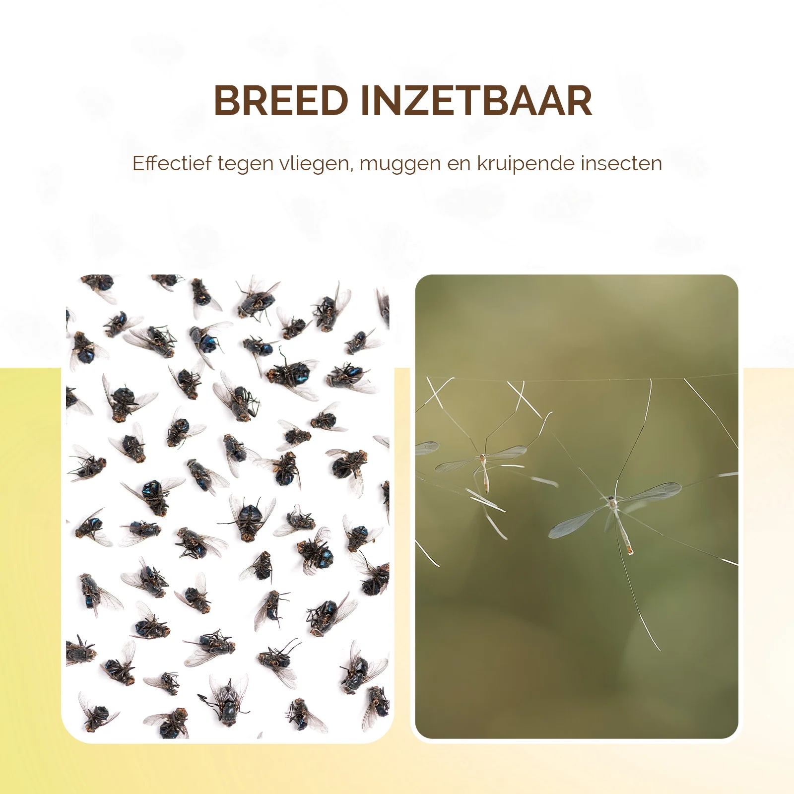 Plaque engluée pour piège à insectes, sans poison, Ø 13,5 cm – Knock Pest – Image 3