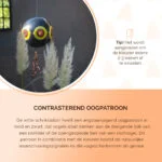 Ballon effaroucheur pour oiseaux avec corde de suspension, noir, Ø 40 cm – Knock Pest – Image 5