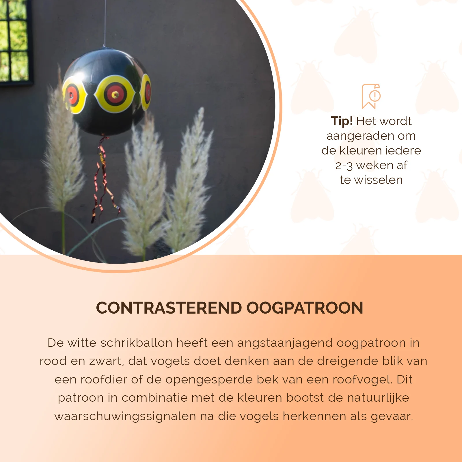 Ballon effaroucheur pour oiseaux avec corde de suspension, noir, Ø 40 cm – Knock Pest – Image 5