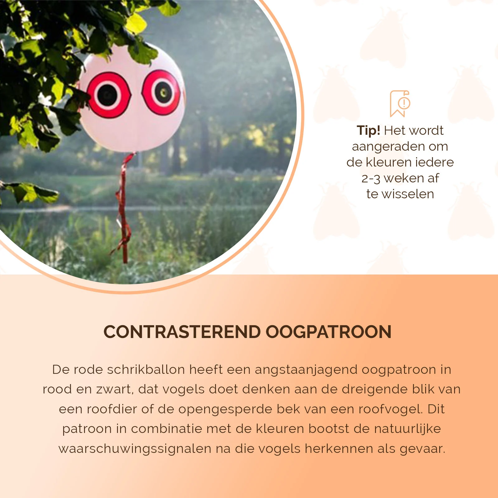 Ballon effaroucheur pour oiseaux avec corde de suspension, rouge, Ø 40 cm – Knock Pest – Image 4