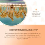 Produit anti larves de moustiques pour eaux stagnantes, 50 ml – Knock Pest Muggenlarven Stop – Image 5