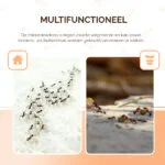 Boîtes appât anti fourmis noires des jardins, 2 pièces – Knock Pest – Image 4