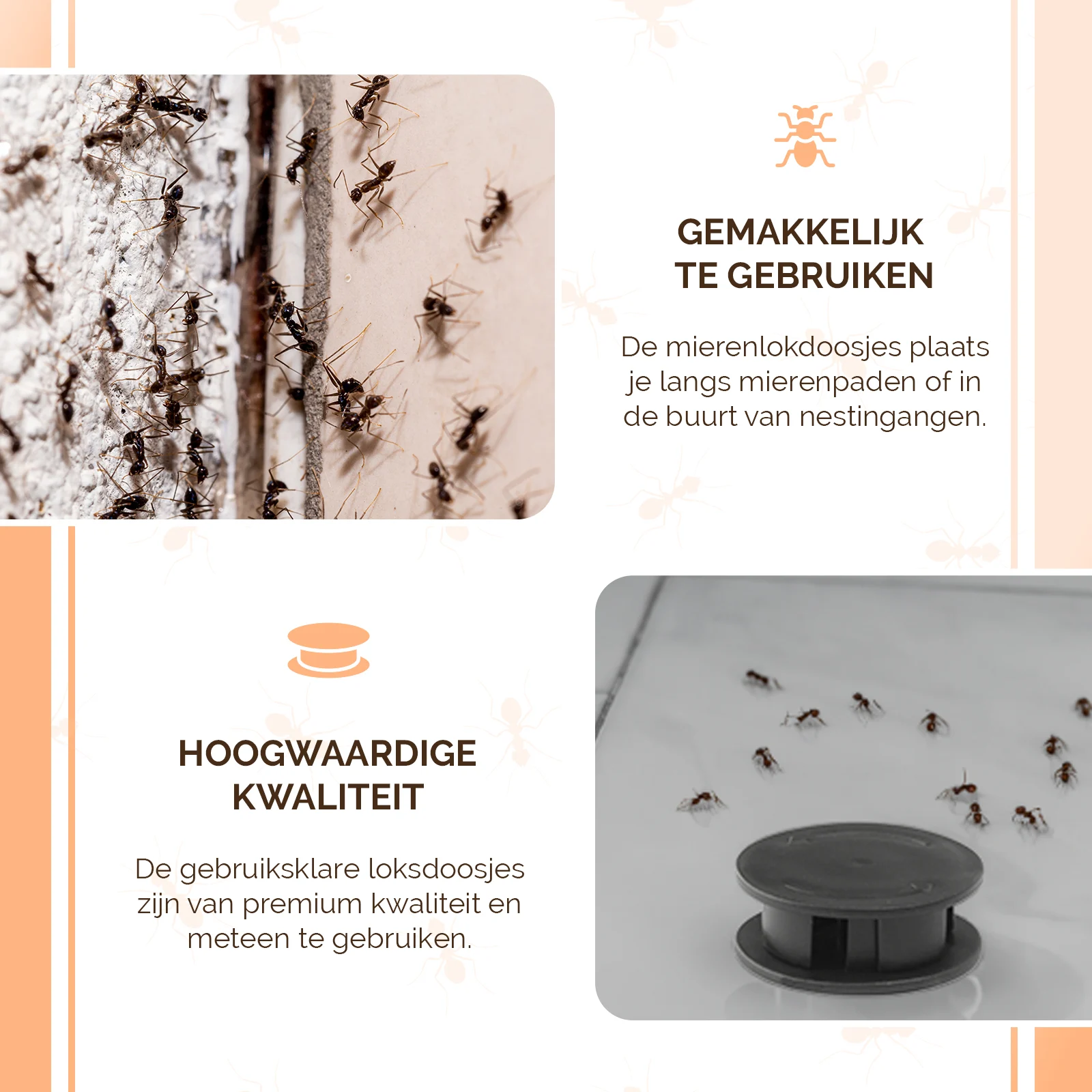 Boîtes appât anti fourmis noires des jardins, 2 pièces – Knock Pest – Image 5