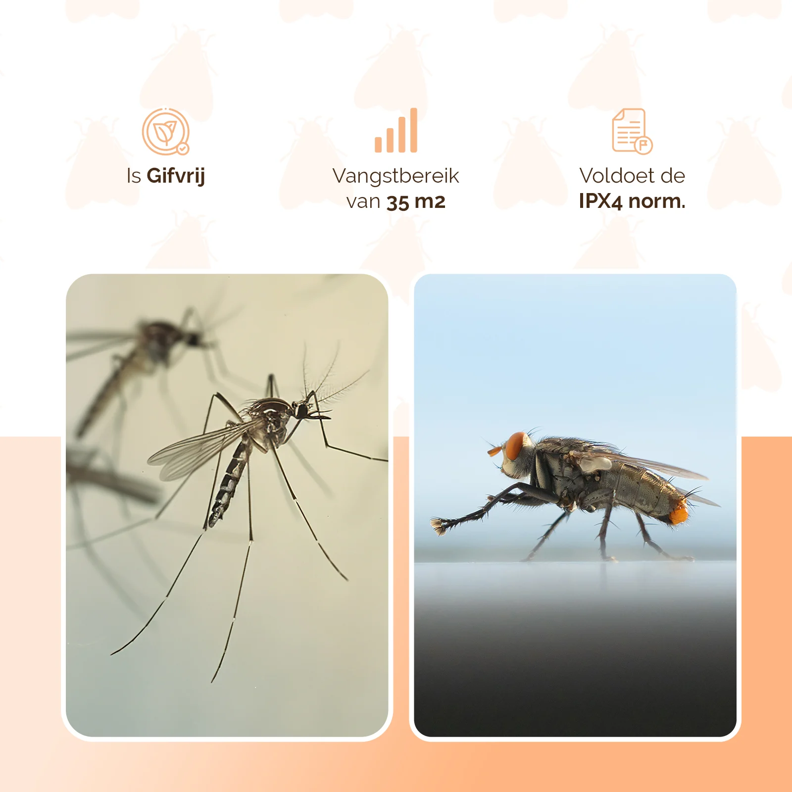 Lampe anti insectes UV-A avec grille électrifiée, 5 W – Knock Pest Insect Killer – Image 3