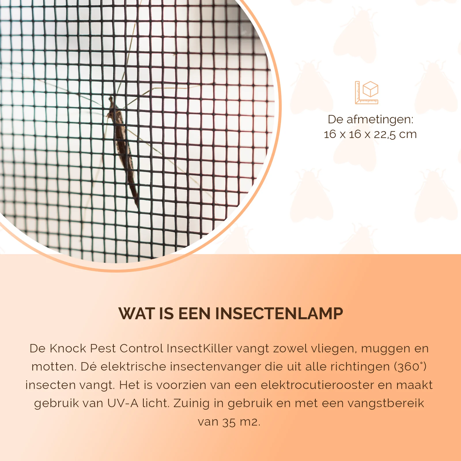 Lampe anti insectes UV-A avec grille électrifiée, 5 W – Knock Pest Insect Killer – Image 5