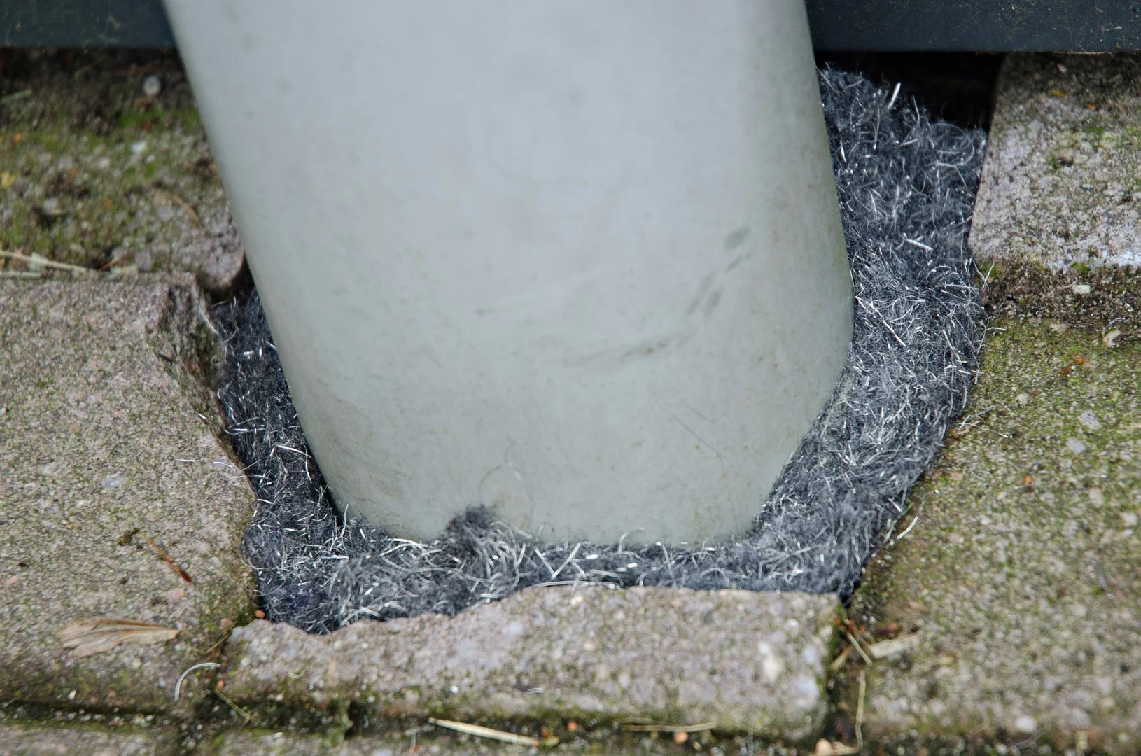 Bande obturatrice pour rats et souris, 5 m – Knock Pest Rodent Defense – Image 3