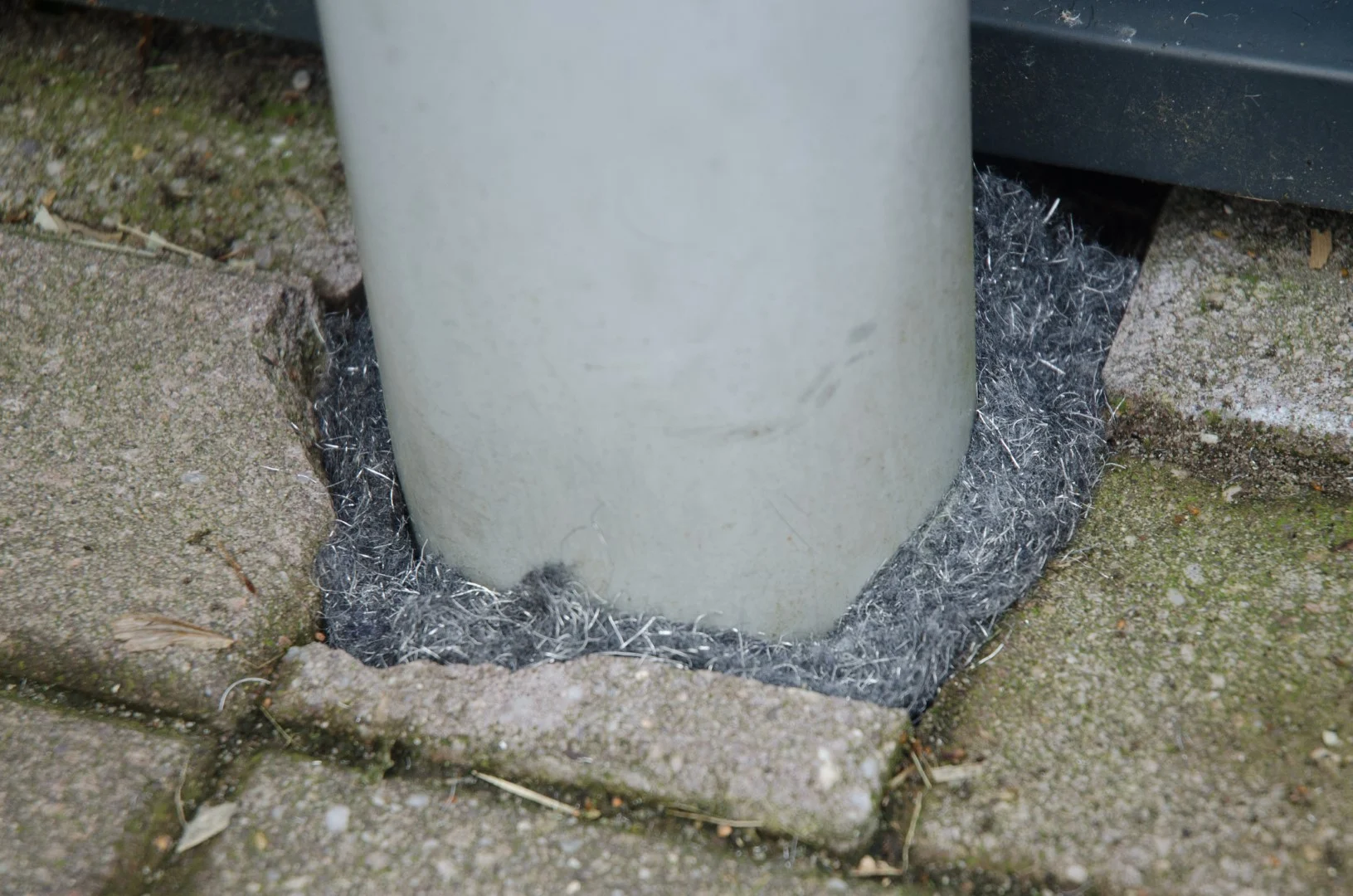 Bande obturatrice pour rats et souris, 5 m – Knock Pest Rodent Defense – Image 2
