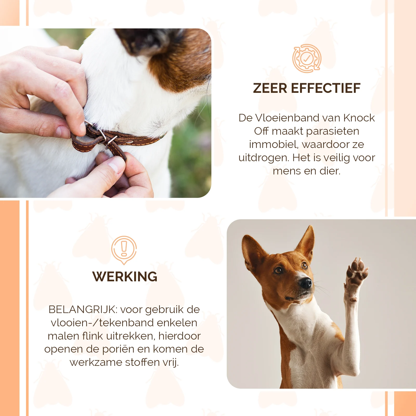 Collier anti-puces pour chiens, 33 cm, néerlandais et français – Knock Pest – Image 4