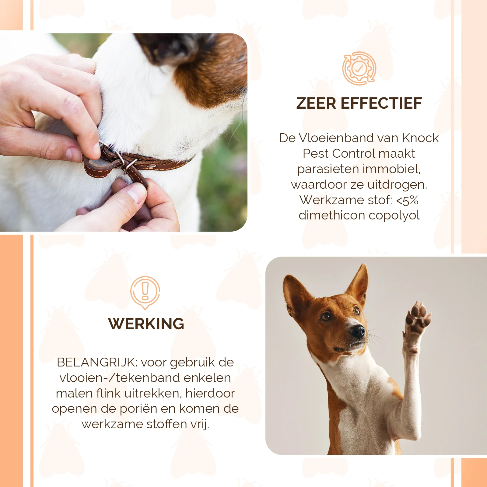 Collier anti tiques et anti puces pour chien, 33 cm, allemand et anglais – Knock Pest – Image 4