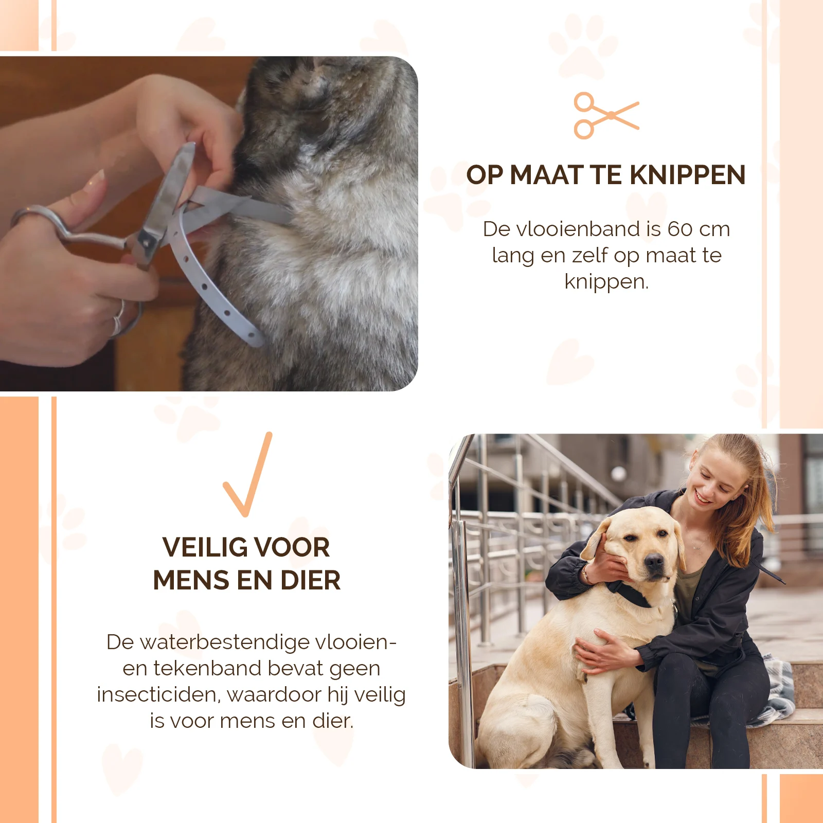 Collier anti tiques et anti puces pour chien, 59 cm, allemand et anglais – Knock Pest – Image 4