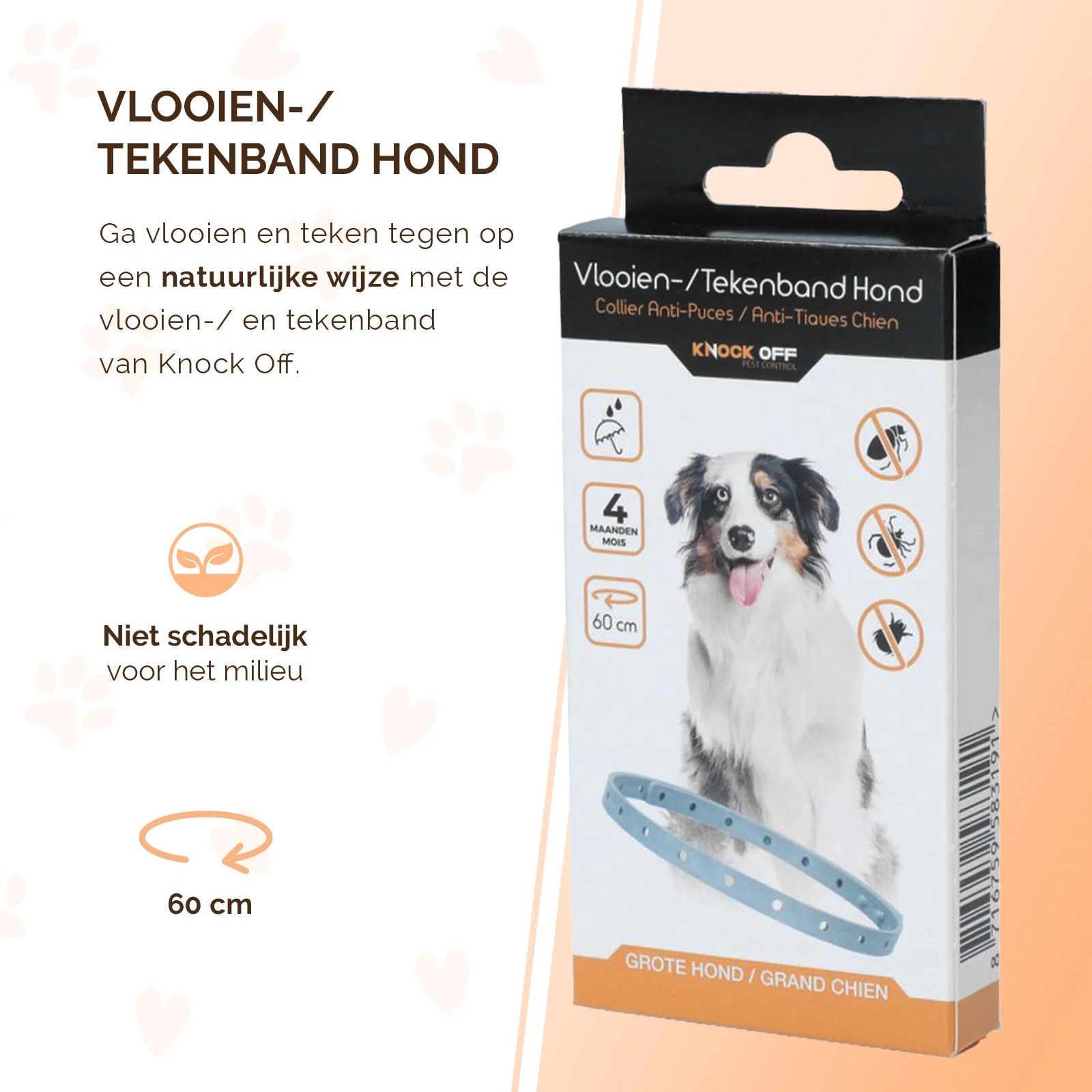 Collier anti tiques et anti puces pour chien, 59 cm, néerlandais et français – Knock Pest – Image 2