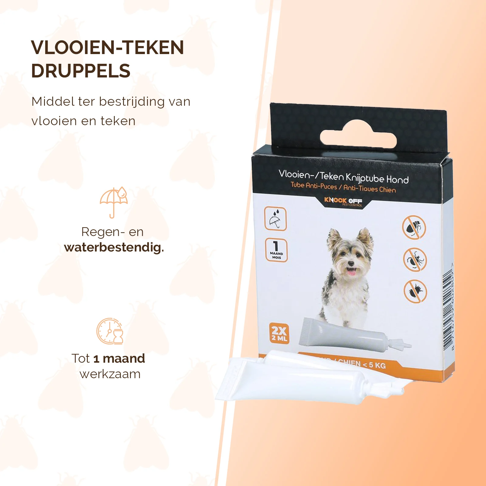 Pipettes antipuces pour chiens de moins de 5 kg, contre les tiques, 2 x 2 ml – Knock Pest – Image 2
