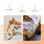 Pipettes antipuces pour chiens de moins de 5 kg, contre les tiques, 2 x 2 ml – Knock Pest – Image 3