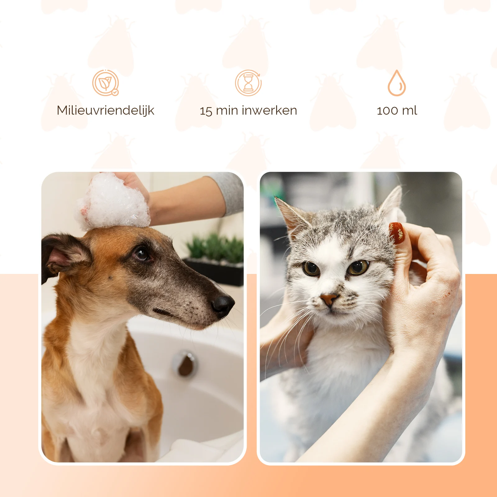 Shampooing antipuces pour chiens et chats, 100 ml – Knock Pest – Image 3