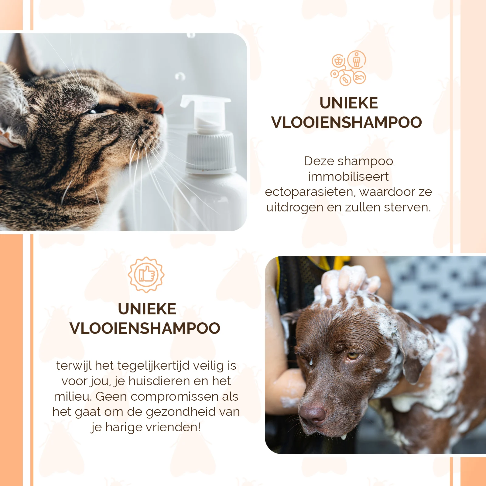 Shampooing antipuces pour chiens et chats, 100 ml – Knock Pest – Image 4