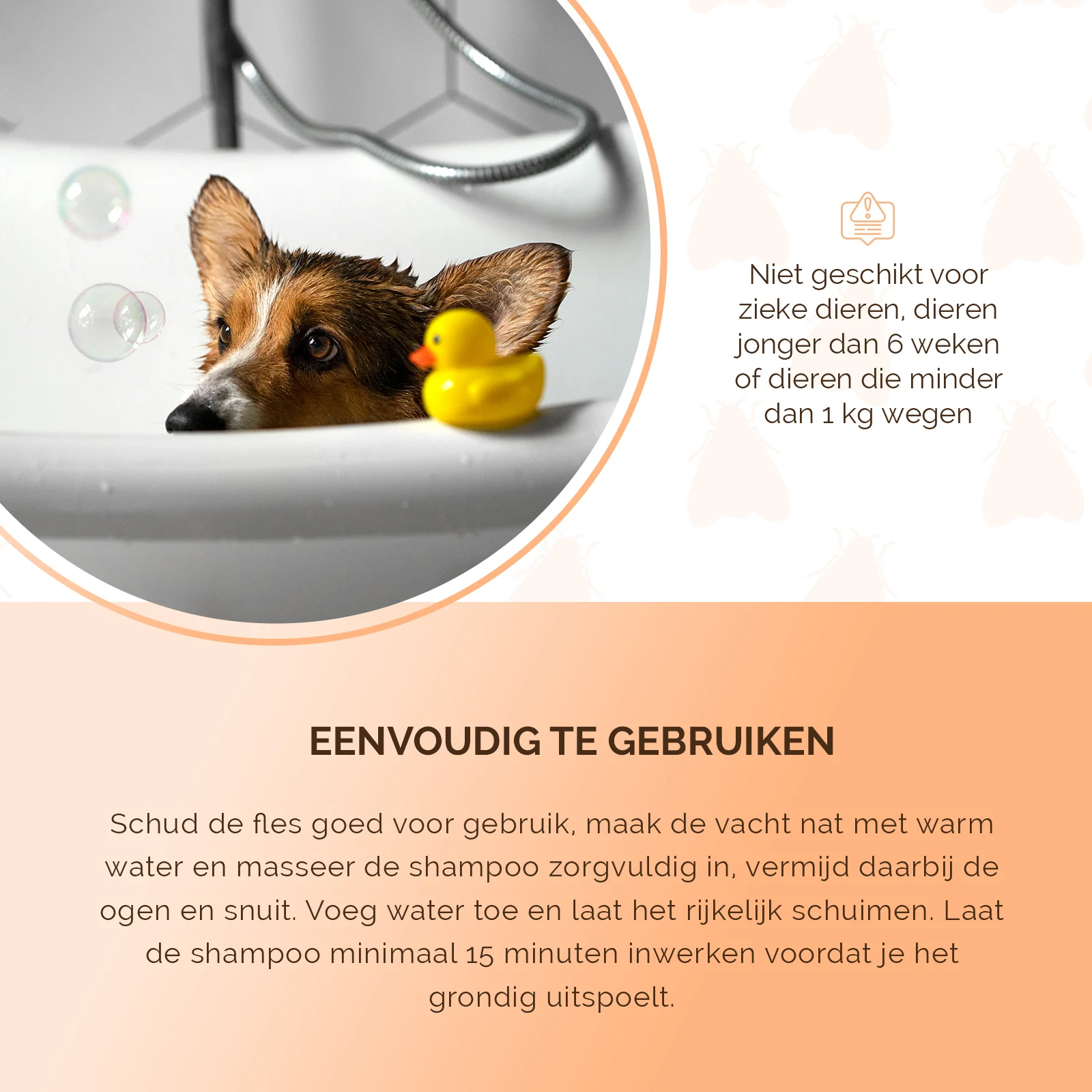 Shampooing antipuces pour chiens et chats, 100 ml – Knock Pest – Image 5