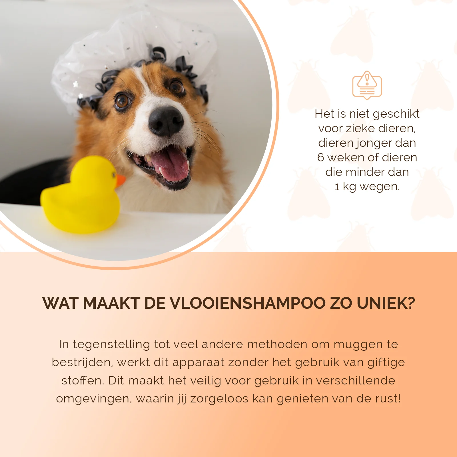 Shampooing antipuces pour chiens et chats, 250 ml – Knock Pest – Image 5