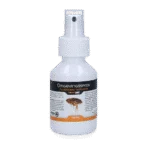 Spray d’ambiance contre les puces, les poux et les tiques, 100 ml – Spray d’ambiance Knock Pest