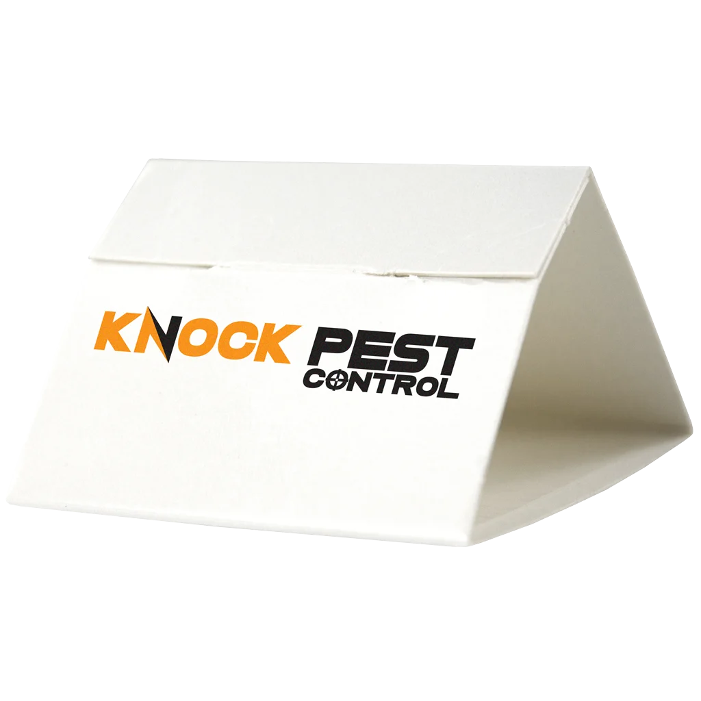 Piège à poissons d’argent et lépismes des livres, sans insecticide, 3 pièces – Knock Pest Delta – Image 2