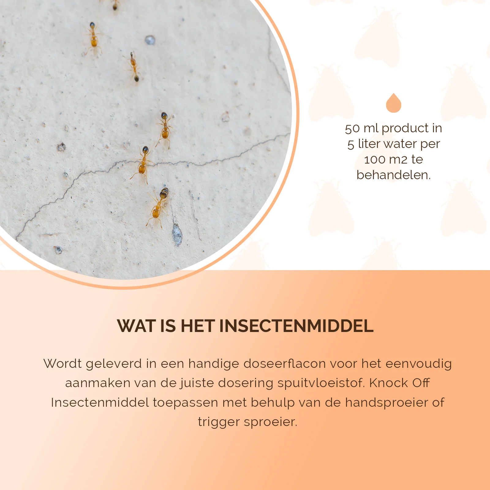 Insecticide contre les insectes rampants en intérieur, 250 ml – Knock Pest – Image 5