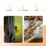 Aérosol cryogénique contre les insectes avec deux modes de pulvérisation – Knock Pest Freeze It – Image 3