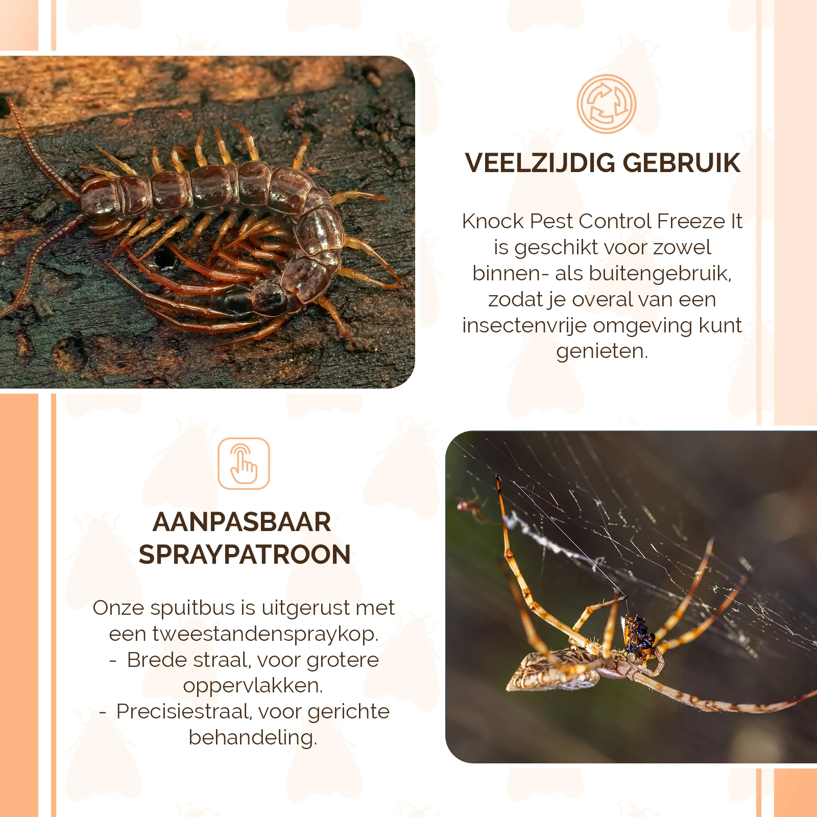 Aérosol cryogénique contre les insectes avec deux modes de pulvérisation – Knock Pest Freeze It – Image 4