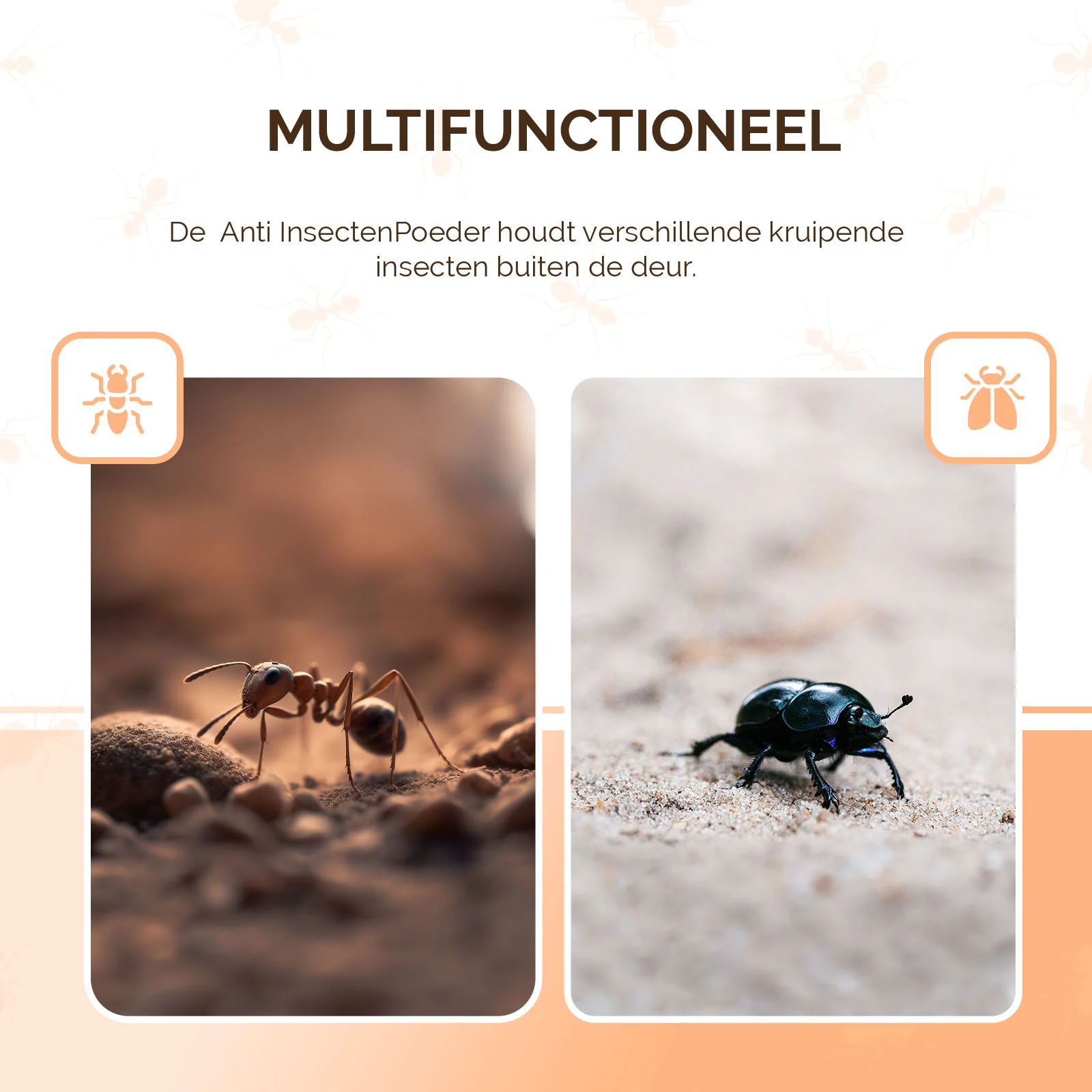 Poudre contre les fourmis à l’extérieur et les insectes rampants à l’intérieur, 250 g – Knock Pest – Image 5