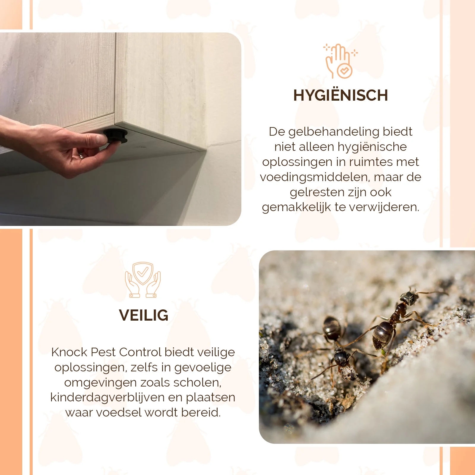 Station d’appât pour fourmis et blattes avec autocollant – Knock Pest – Image 4