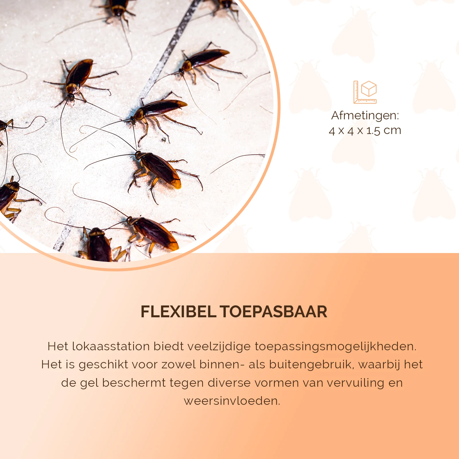 Station d’appât pour fourmis et blattes avec autocollant – Knock Pest – Image 5