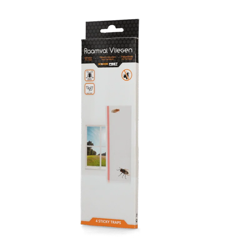 Piège à mouches pour fenêtre, transparent, 4 pièces – Knock Pest
