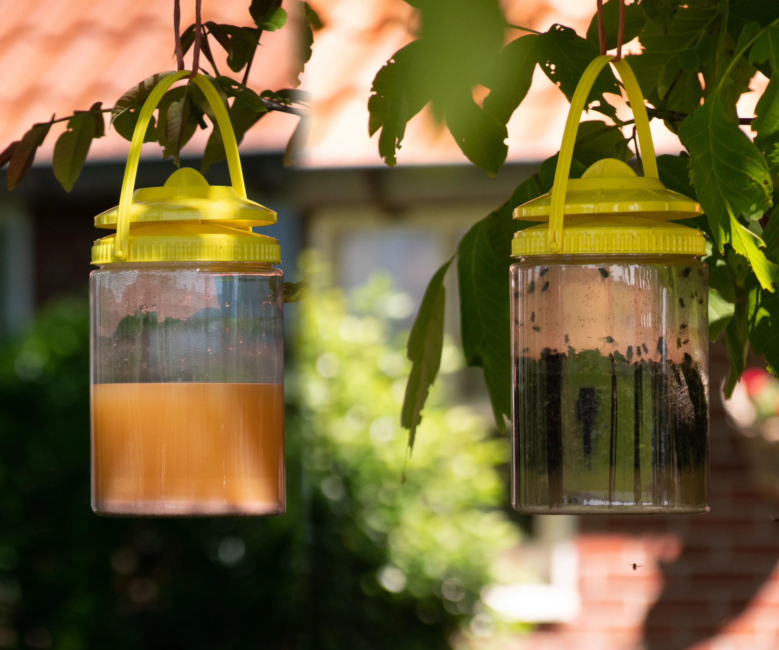 Piège à mouches avec appât pour l’extérieur, 2 l – Knock Pest FlyNip – Image 6