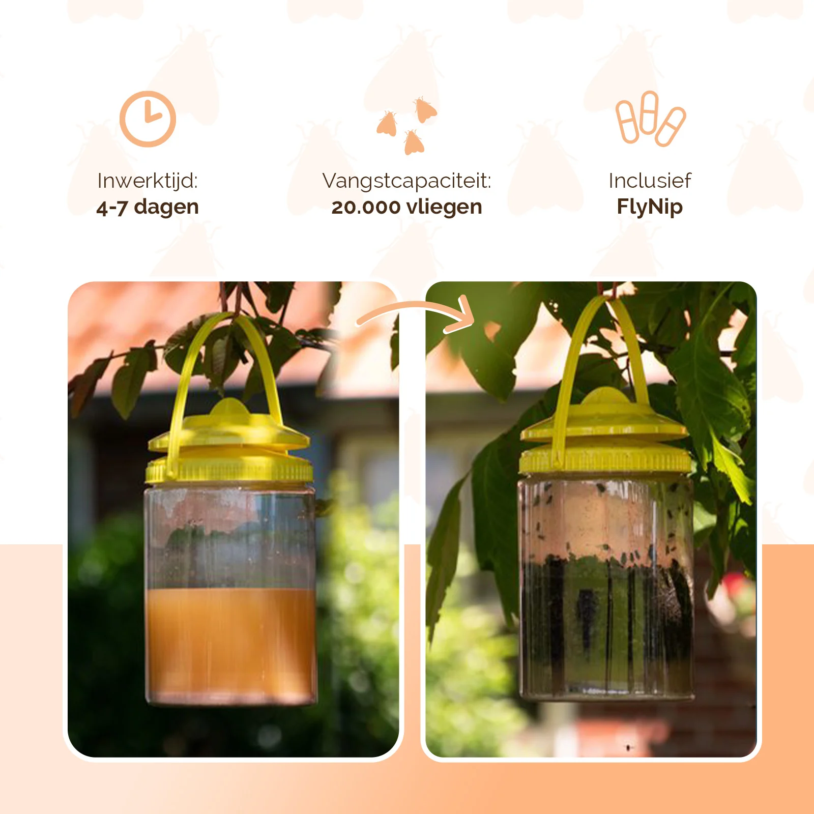 Piège à mouches avec appât pour l’extérieur, 2 l – Knock Pest FlyNip – Image 3