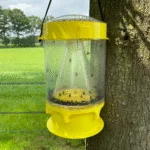Piège à mouches avec attractif FlyNip pour l’extérieur – Knock Pest XL – Image 2