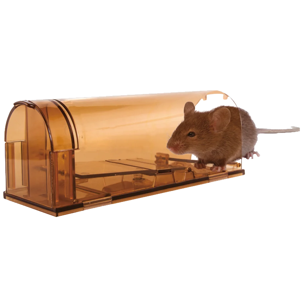 Piège à souris vivant en polycarbonate avec porte appât – Knock Pest – Image 3